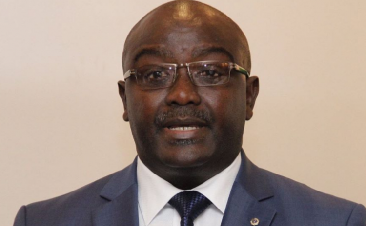  Jean Genestar Priso, l’exemple d’une diaspora Camerounaise à l’œuvre